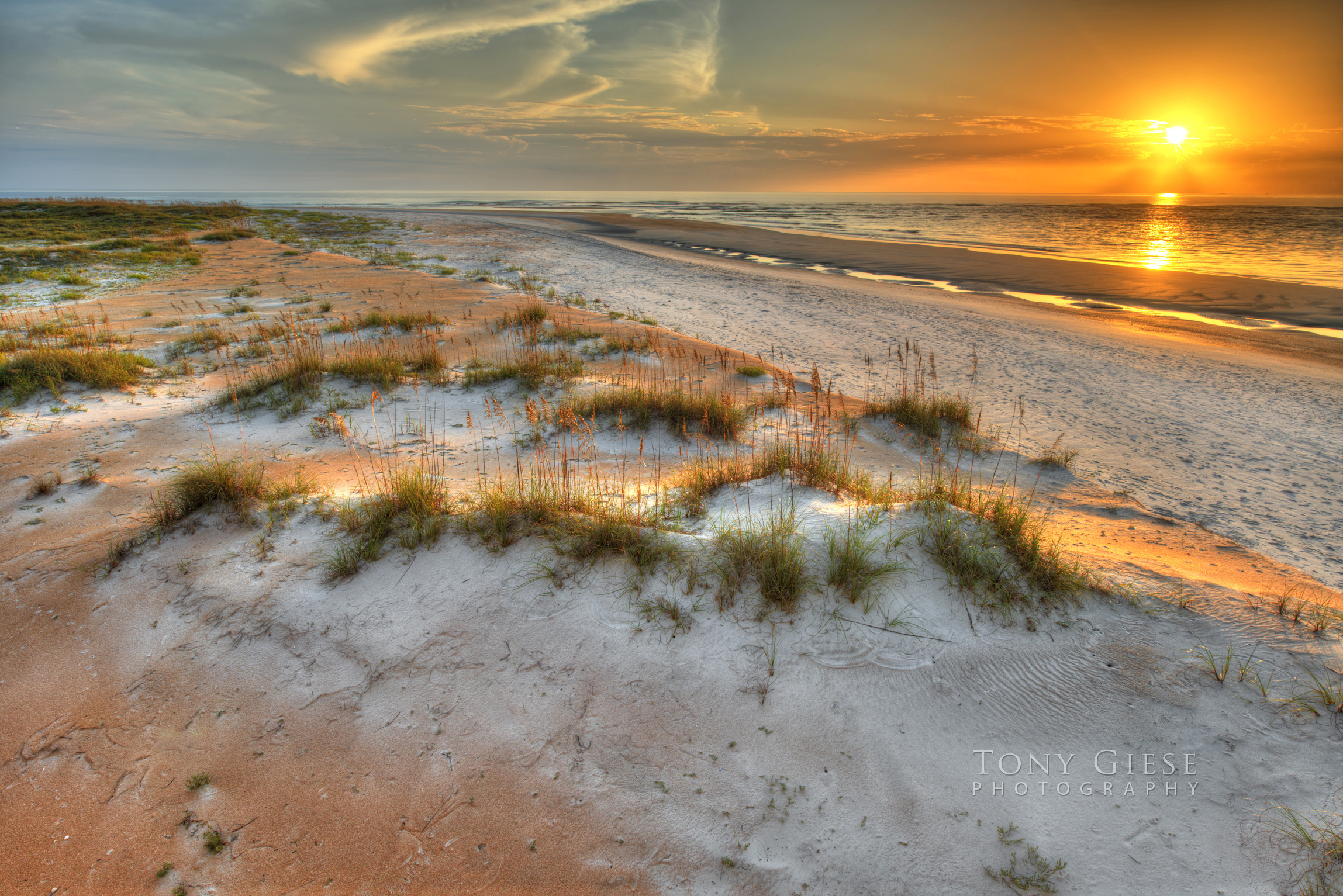 Sand, salt, heat makes sea oats our coast’s best ambassadors. Photography by Tony Giese, Matanzas Inlet, Florida.